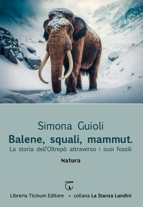 Balene, squali, mammut. La storia dell'Oltrepò attraverso i suoi fossili