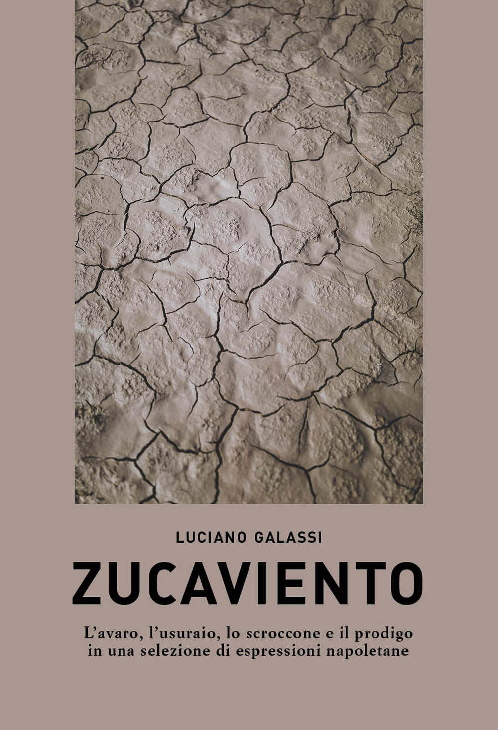 Zucaviento. L'avaro, l'usuraio, lo scroccone e il prodigo in una selezione di espressioni napoletane