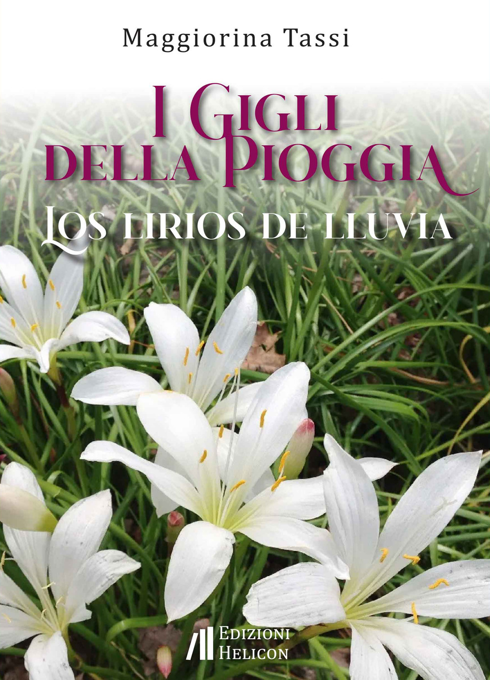 I gigli della pioggia-Los lirios de lluvia. Ediz. bilingue