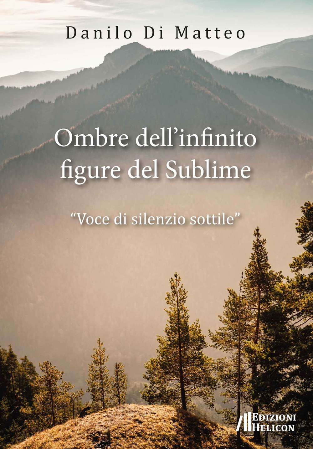 Ombre dell'infinito, figure del sublime 