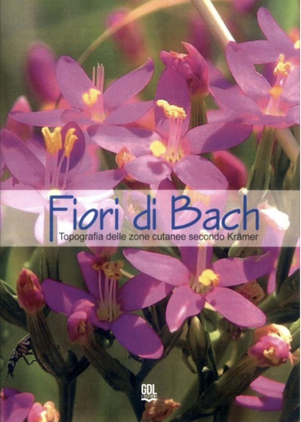 Fiori di Bach. Topografia delle zone cutanee secondo Krämer