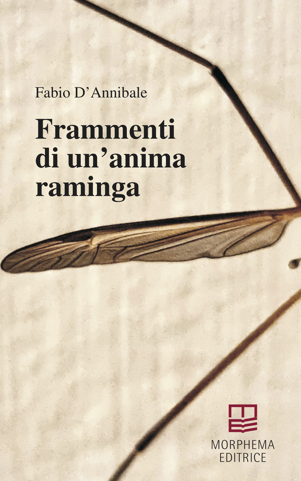 Frammenti di un'anima raminga