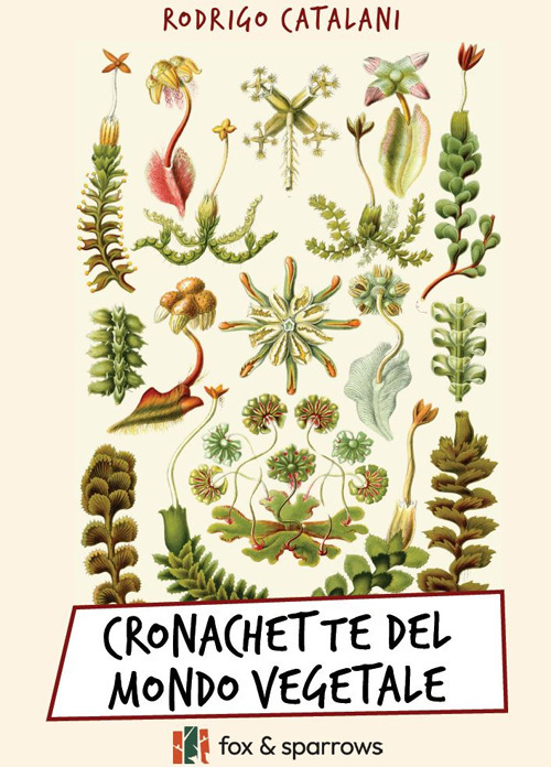 Cronachette del mondo vegetale